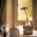 Apartment Appartement-hotel-anlage Tannenpark *