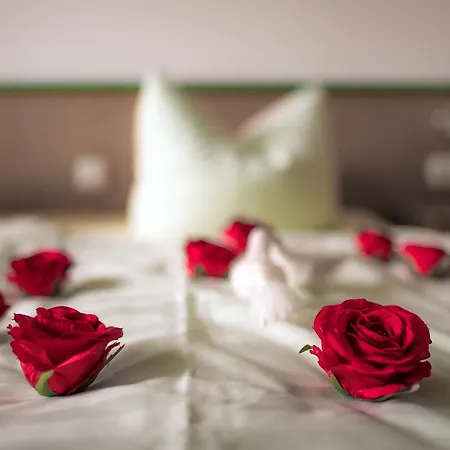 Appartement-hotel-anlage Tannenpark 아파트 *