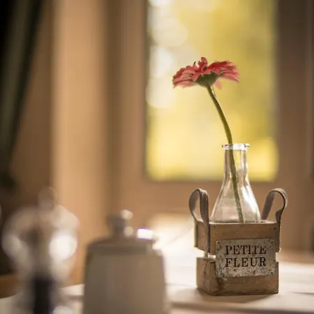 아파트 Appartement-hotel-anlage Tannenpark *