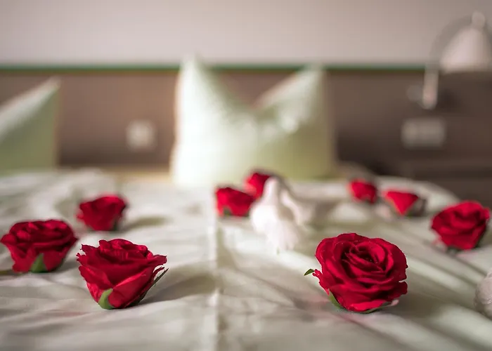 Appartement-hotel-anlage Tannenpark Appartement *