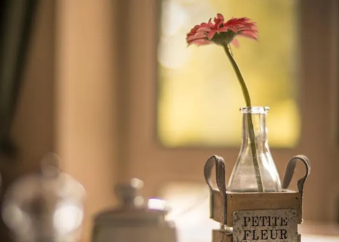 Apartment Appartement-hotel-anlage Tannenpark *